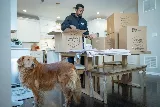 EverSafe Moving Co photo 3
