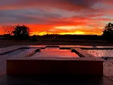 Cactus Pool Designs