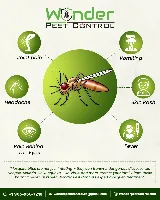 Wonder Pest Control photo 5