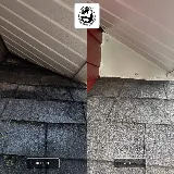Bats to Rats LLC - Wildlife Control and Prevention photo 5
