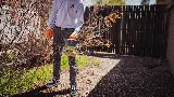 Peach Pest Co photo 7