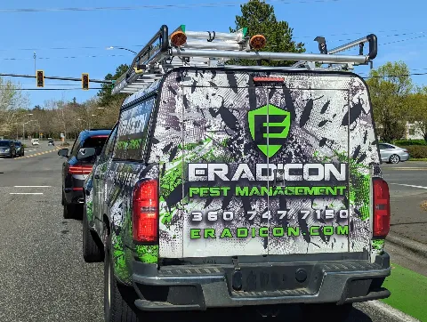 Eradicon Pest Management photo 1