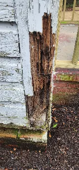 A-Team Painting & Home Care, LLC photo 7