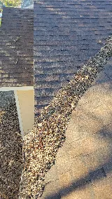 Evergreen Roofing & Solar photo 4