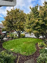 L&A Landscaping Specialists photo 8