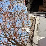 All My Brothers Moving photo 5