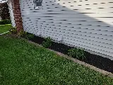 Price Landscaping Services photo 8