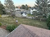 Lush Lawn Care & More photo 8