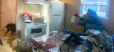 Two Men and a Truck Moving and Storage photo 2
