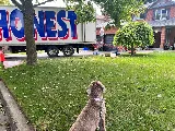 Honest Mover photo 4