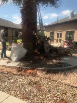 Laredo Lawn, Inc. photo 2