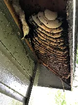 Pest Control Pro, LLC photo 3