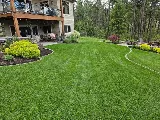 Supernova Landscape Company llc photo 6