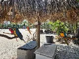 Delray Garden Center photo 4