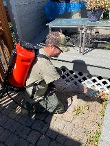 Pest Patrol Montana, LLC photo 5