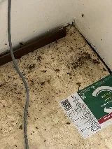 GreenPEST