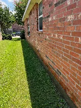 Aptive Pest Control photo 4
