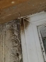 Assurance Pest Solutions photo 8