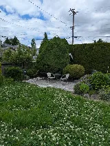 Black Cat Gardenscapes photo 8