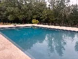 Clear Swim Pool Care photo 4