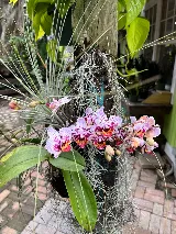 Delray Garden Center photo 5