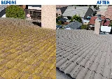 Simply Clean Solar Panel & Gutters