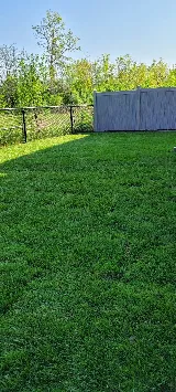 Eternal Green Landscaping photo 7