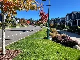 Nasim Landscape photo 2