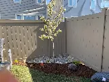 Wilson Landscaping photo 8