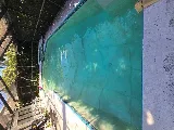 Blue Pool Professionals photo 8