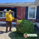 Augusta Lawn Care of Virginia Beach photo 6
