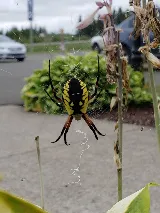 Pest Control Center Inc. photo 6
