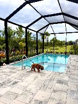 Jackson Pools, Inc. photo 2