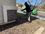 Green Home Pest Control photo 7