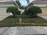 Five Star Landscaping photo 7