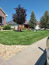 Ultimate Yard Care