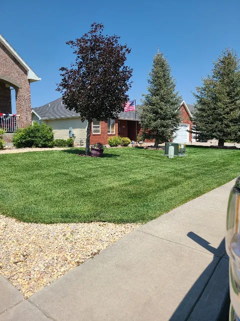 Ultimate Yard Care photo 1