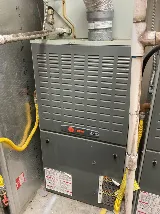 Berrett Pest Control photo 8