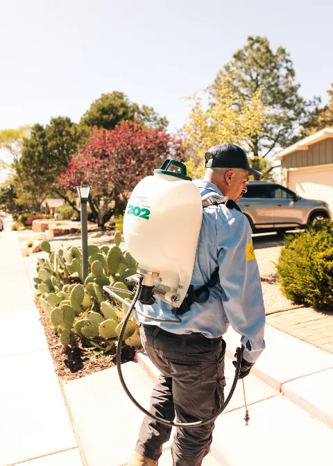 Insight Pest Solutions photo 1