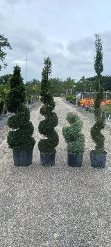 Total Maintenance Landscaping photo 4