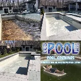 Les Pool Boys photo 4