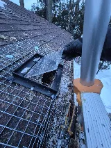 Kia pestcontrol&wildlife removal photo 6