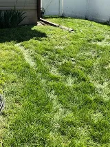 Yardworx Lawn and Landscape - Lawn Care Lincoln Ne photo 4