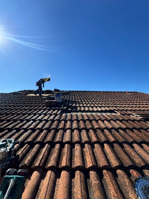 Evans Exterminator in Danville