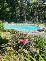 Juliano's Pools photo 8