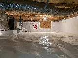 Pest-X Exterminating photo 2