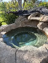 Top Rated Pool Care photo 5