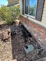 JS Pest Control photo 6