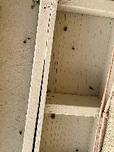Bulwark Exterminating photo 2