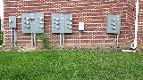 Executive Landscape Services LLC photo 3